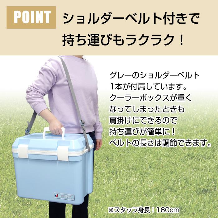 大感謝セール クーラーボックス クーラーbox 中型 可愛い おしゃれ クーラーバッグ アイセル 25l アイスブルー Balmoro Com