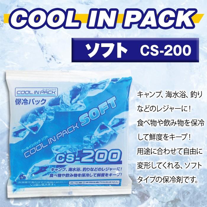 JEJアステージ クールインパック ソフト 200g CS-200 保冷パック 保冷