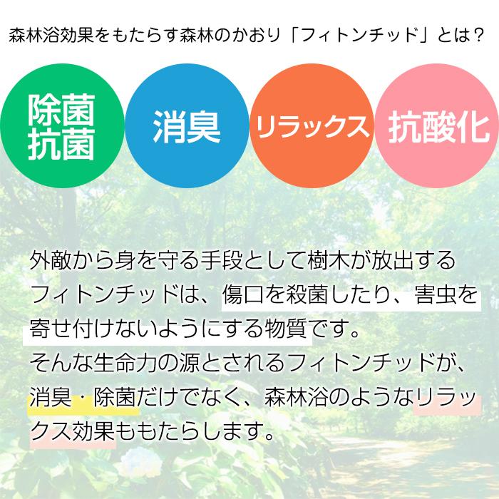 抗菌 除菌 消臭 空気サプリメント フィトンエアーミニ （メーカー直送