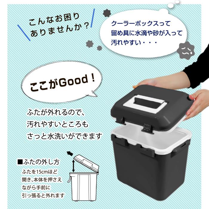 JEJアステージ 収納ボックス 限定カラー クーラーボックス 小型