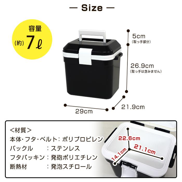 JEJアステージ 収納ボックス 限定カラー クーラーボックス 小型