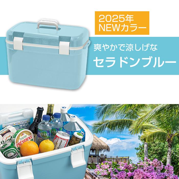 JEJアステージ 収納ボックス クーラーボックス フォレスクルー #35