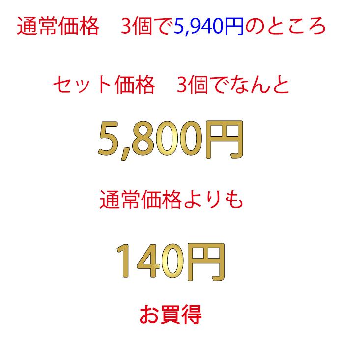 収納ボックス 収納ケース 衣類収納 押入れ収納 キャスター付き(同色3個セット)(限定カラーカクス 55深)幅39cm奥行55cm高さ30.2cm | JEJアステージ | 08