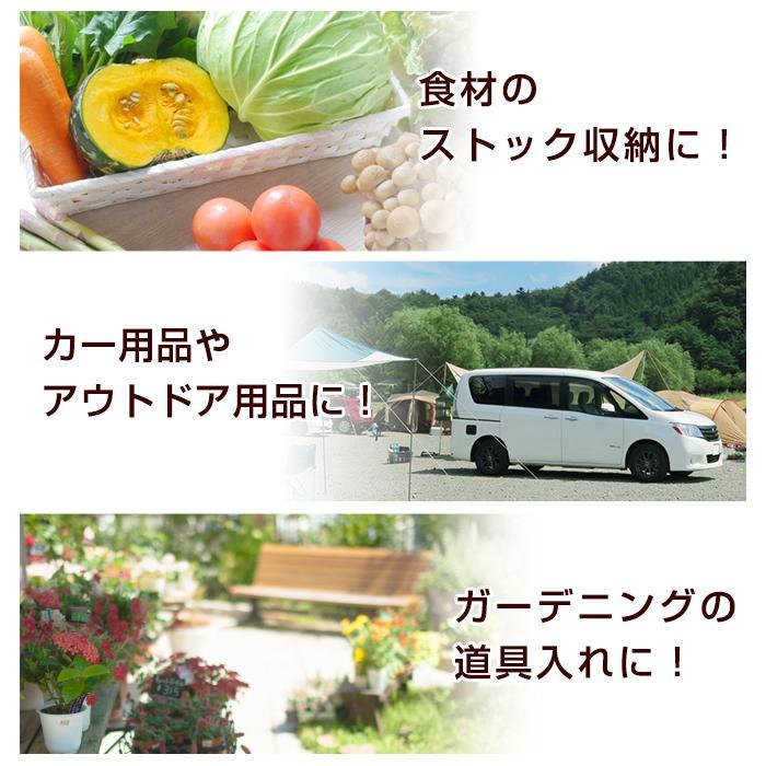 収納ボックス 収納ケース 衣類収納 押入れ収納 キャスター付き(同色4個セット)(限定カラーカクス 55深)幅39cm奥行55cm高さ30.2cm | JEJアステージ | 16