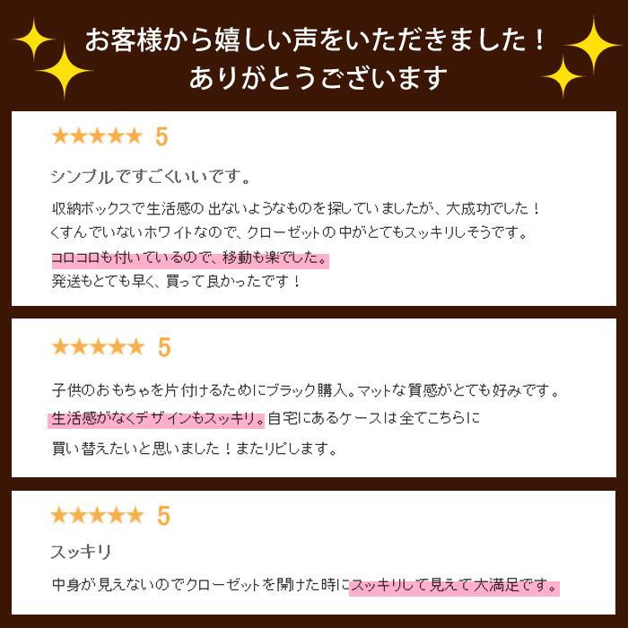 収納ボックス 収納ケース 衣類収納 押入れ収納 キャスター付き(同色4個セット)(限定カラーカクス 55深)幅39cm奥行55cm高さ30.2cm | JEJアステージ | 18