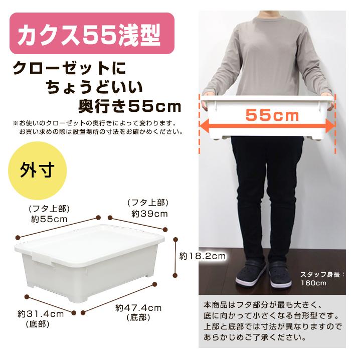 69%OFF!】 収納ボックス 衣装ケース キャスター付き フタ付き ベッド下収納 押し入れ収納 クローゼット 限定カラー カクス 55浅 コロ付 幅39奥行55高さ18.2cm whitesforracialequity.org 69%OFF!】 収納ボックス 衣装ケース キャスター付き フタ付き ベッド下収納 押し入れ収納 クローゼット 限定カラー カクス 55浅 コロ付 幅39奥行55高さ18.2cm whitesforracialequity.org