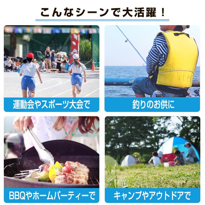 JEJアステージ 収納ボックス クーラーボックス 13L 中型 JEJアステージ 収納ボックス クーラーボックス 13L 中型