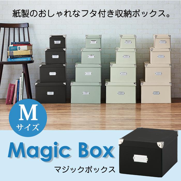 LADONNA（ラドンナ） 収納ボックス 収納ケース Toffy トフィー