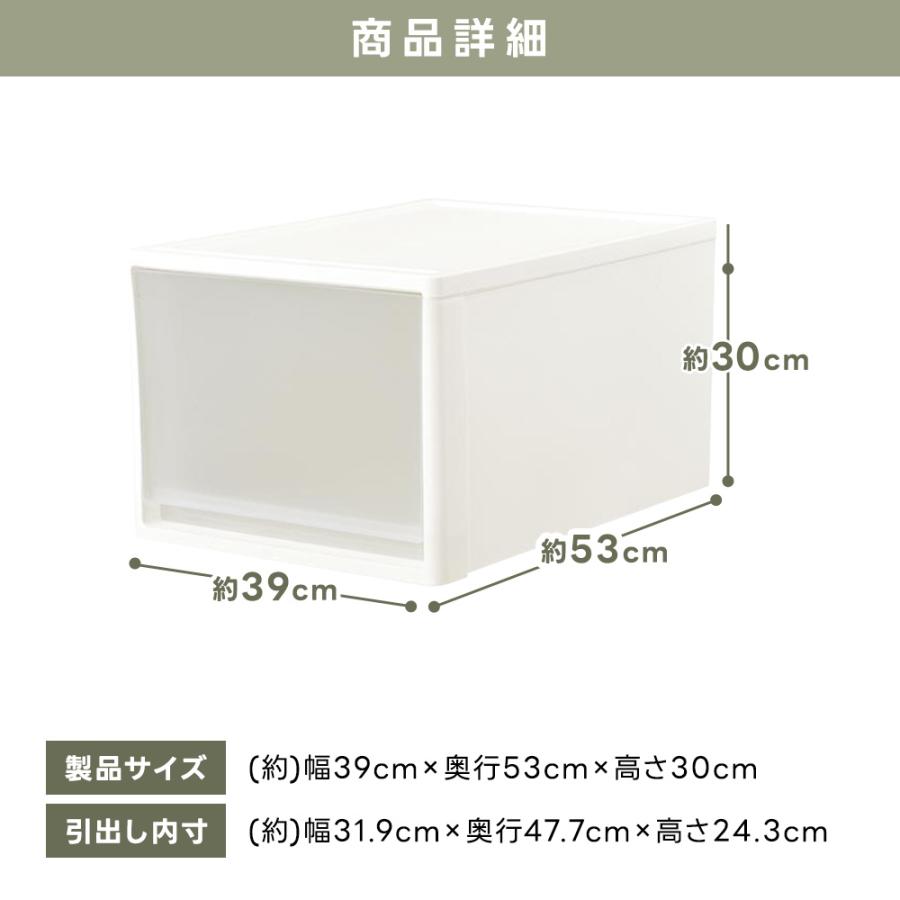 JEJアステージ 収納ボックス 衣類収納 収納ケース 衣装ケース