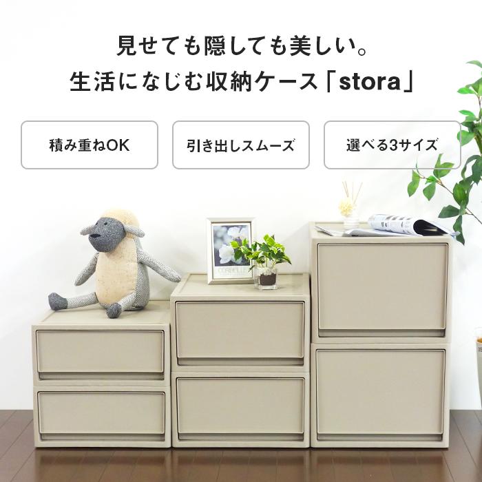 JEJアステージ 収納ボックス 衣装ケース 衣類収納 収納ケース チェスト