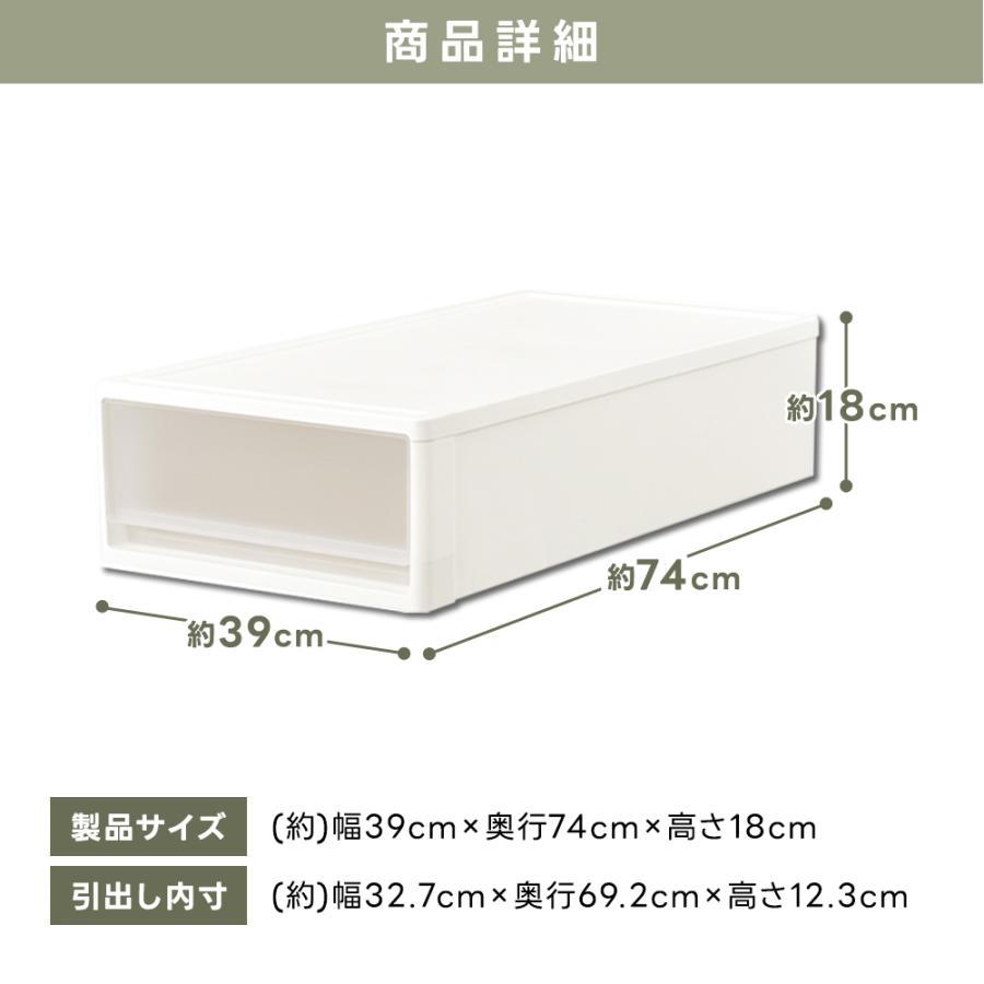 JEJアステージ 収納ボックス 衣装ケース (同色2個セット) 収納ケース