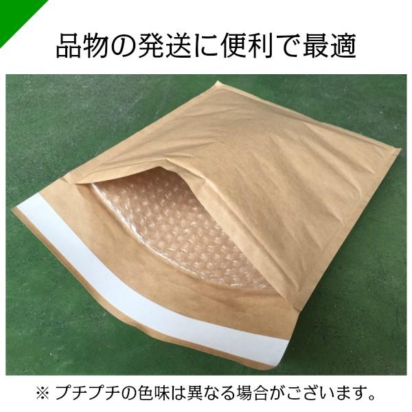 プチプチ封筒 ポストサイズ 内寸208mm×272mm 900枚 川上産業 緩衝材