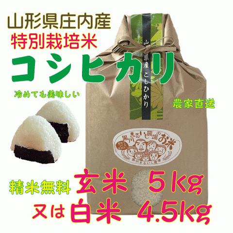 新生活応援SALE】山形県庄内産 令和7年新米コシヒカリ20kg 9／