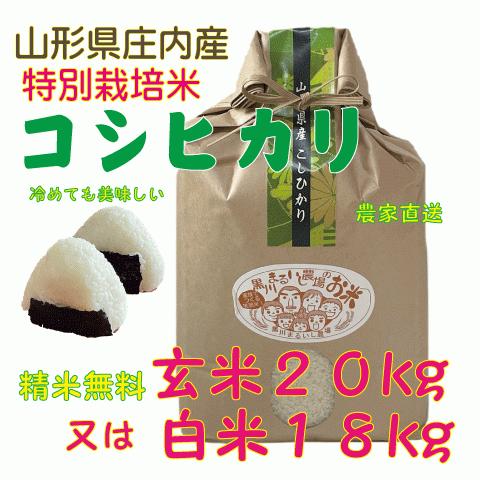 令和7年度特別栽培米山形県庄内産コシヒカリ 玄米20kg（白米