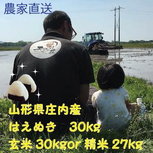 あす楽対応 hae30 [hae30]