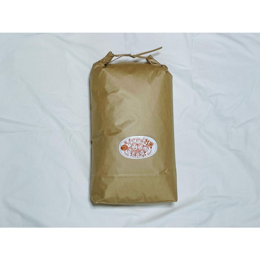 令和7年山形県庄内産コシヒカリ 特別栽培米 20kg 送料無料（九州・沖縄