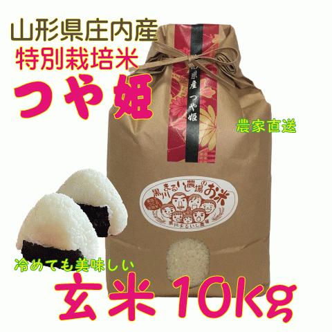 山形県庄内産のつや姫　10kg つや姫 5kg✕2 山形県庄内産10kg