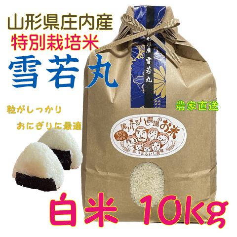 農家直送（送料込）！令和７年産　雪若丸　山形県庄内産　白米１０ｋｇ 令和7年山形県庄内産雪若丸 白米10kg 特別栽培米 農家直送 特A一等