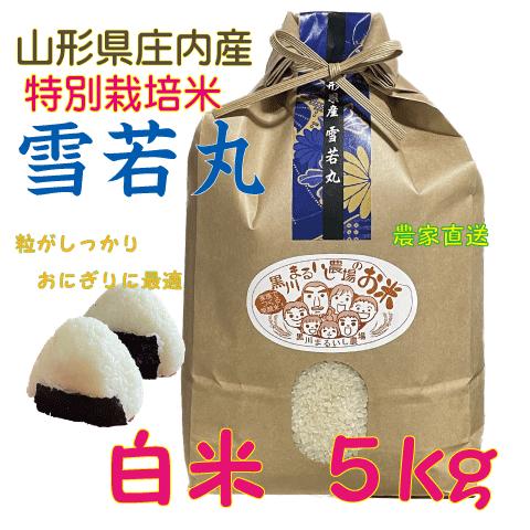 農家直送（送料込）！令和７年産　雪若丸　山形県庄内産　白米１０ｋｇ 令和7年山形県庄内産雪若丸 白米5kg 特別栽培米 農家直送 特A一等