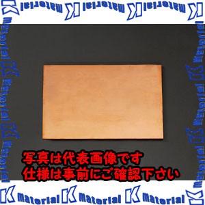 【P】【代引不可】【個人宅配送不可】ESCO(エスコ) 300x200x 8.0mm 銅板 EA441VA-81 [ZES009384]