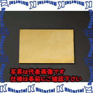 ESCO(エスコ) 600x300x 1.0mm 黄銅板 EA441VB-12 [ZES009392]