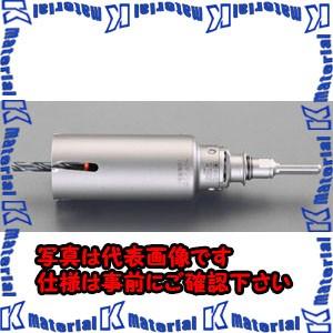 【代引不可】【個人宅配送不可】ESCO(エスコ) 160mm ウッディングコアドリル(SDSシャンク) EA824WY-160 [ZES043763]