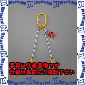 【P】【代引不可】【個人宅配送不可】ESCO(エスコ) 2.7tonx3.0m スリングチェーン(２本懸け) EA981VD-27A [ZES067823]