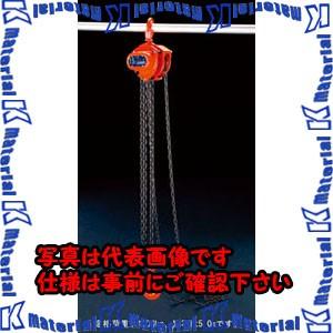 【P】【代引不可】【個人宅配送不可】ESCO(エスコ) 1.0tonx5.0m チェーンブロック EA987CK-5 [ZES070724]
