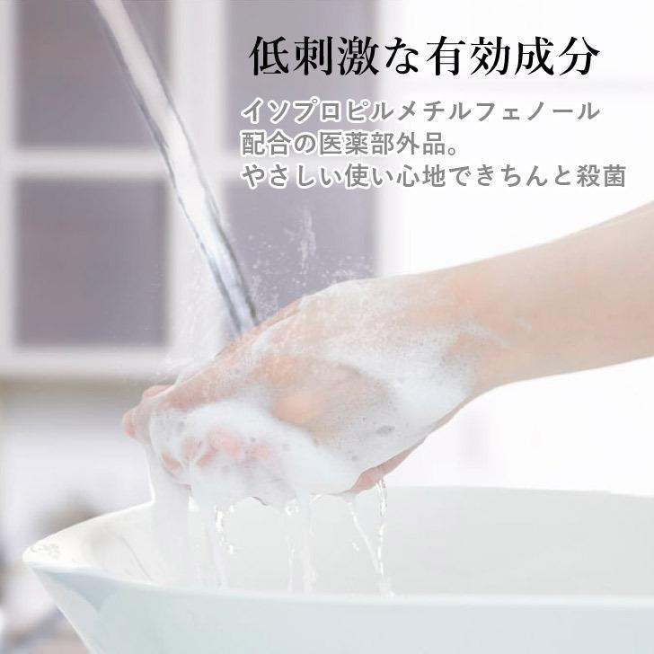 Iwatani 岩谷産業 ALALA アララ 薬用泡のハンドソープ 350ml Iwatani 岩谷産業 ALALA アララ 薬用泡のハンドソープ 350ml