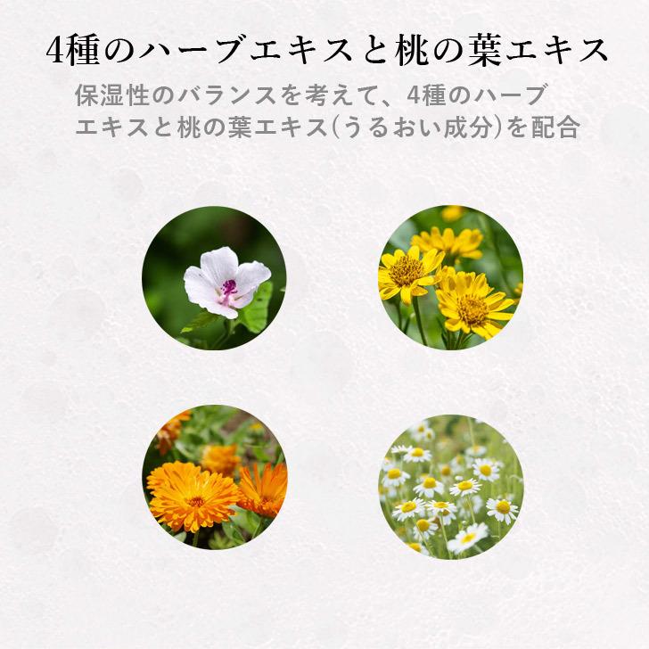 岩谷産業 ALALA アララ リセルハーブ 550ml RH-550 ボディソープ