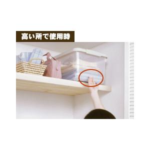 天馬 収納ケース とっても便利箱40L 収納ケース 衣装ケース 収納