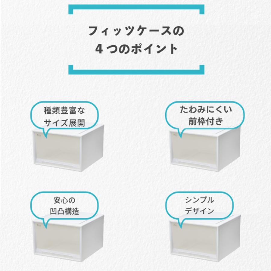 天馬 Fits フィッツケース 74-44MWC (旧:ロングL) ホワイトクリア