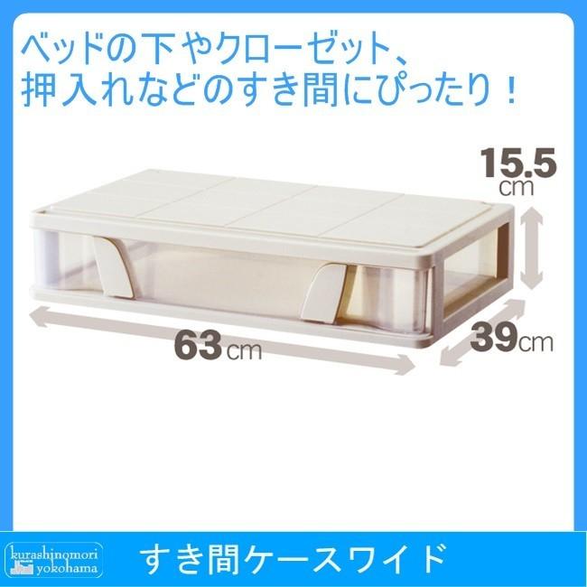 日本最大級 Ds 10個セット すき間収納ケース 衣類ケース スリム 幅44cm 奥行74cm 高さ12 14cm カプチーノ Fits フィッツケース チャンピオン Theblindtigerslidell Com