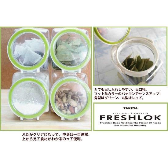 タケヤ化学 密封 保存容器フレッシュロック 角型 300 2個組 食品