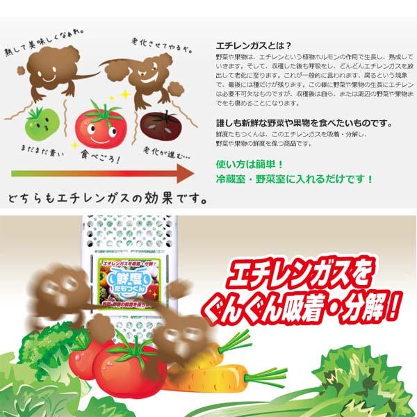 オルディ（ORDIY） 鮮度たもつくん 60個セット TM-1 冷蔵庫 野菜室