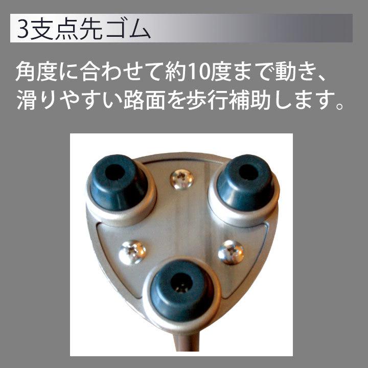 フジホーム ◎ かるがも 3ポイント バーズアイシルバー 3点 滑らない