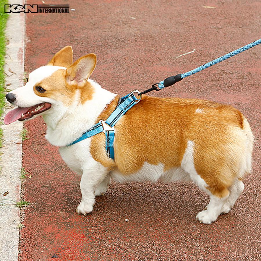 犬 ペット 小型犬 かわいい ハーネス リード セット おすすめ 簡単装着 8の字 ハーネス ワンタッチ式 Harness27 K N International 通販 Yahoo ショッピング