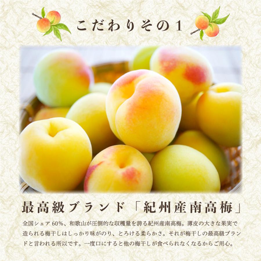 送料無料 紀州南高梅 赤紫蘇 漬物 ご飯のおとも 自宅用 無添加 送料無料 紀州南高梅 赤紫蘇 漬物 ご飯のおとも 自宅用 無添加