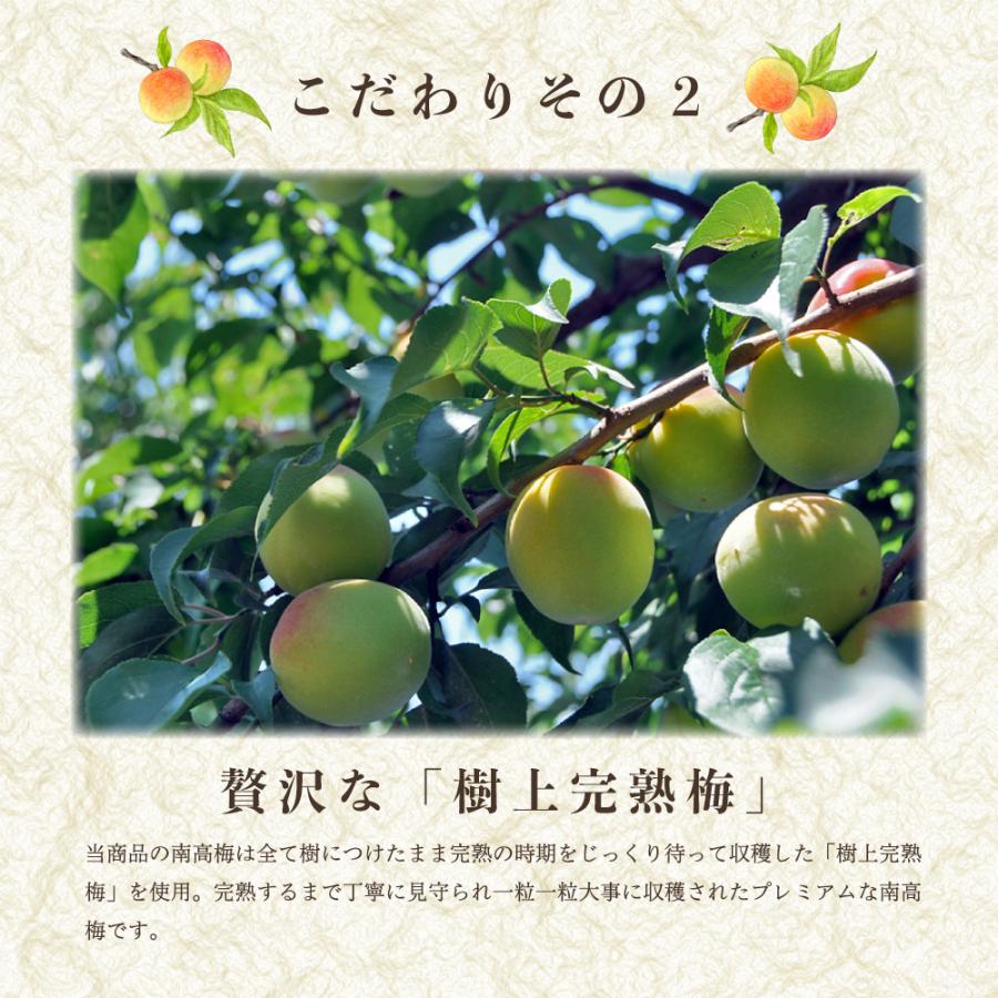 送料無料 紀州南高梅 赤紫蘇 漬物 ご飯のおとも 自宅用 無添加 送料無料 紀州南高梅 赤紫蘇 漬物 ご飯のおとも 自宅用 無添加