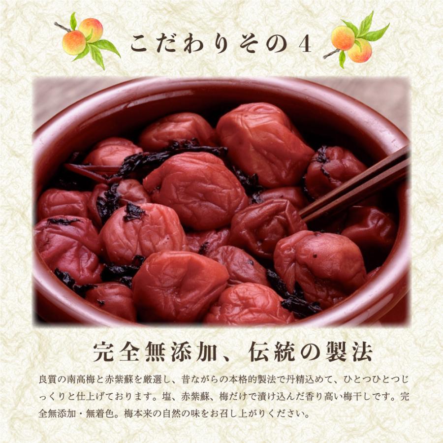 送料無料 紀州南高梅 赤紫蘇 漬物 ご飯のおとも 自宅用 無添加 梅しそ 500g と梅干し 300g の合計2種類がセットになったお買い得品 Umeshiso003 季節料理 中西 通販 Yahoo ショッピング