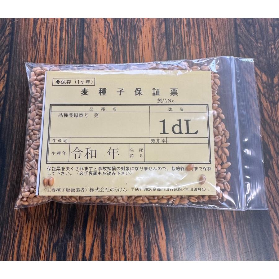 小麦　せときらら　種籾20キロ 令和7年山梨県産パン用小麦「せときらら」種子 1dl（約75g