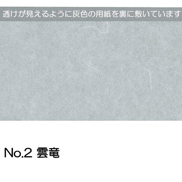 ワーロンシート No.2 雲竜 0.2mm厚 930mm×2150mm 1枚  [法人/業者あてのみ][現場宛・個人宛は別途有料]｜k-nsdpaint｜02