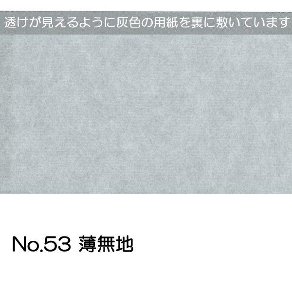 ワーロンシート No.53 薄無地 0.2mm厚 930mm×1850mm 1枚  [法人/業者あてのみ][現場宛・個人宛は別途有料]｜k-nsdpaint｜02