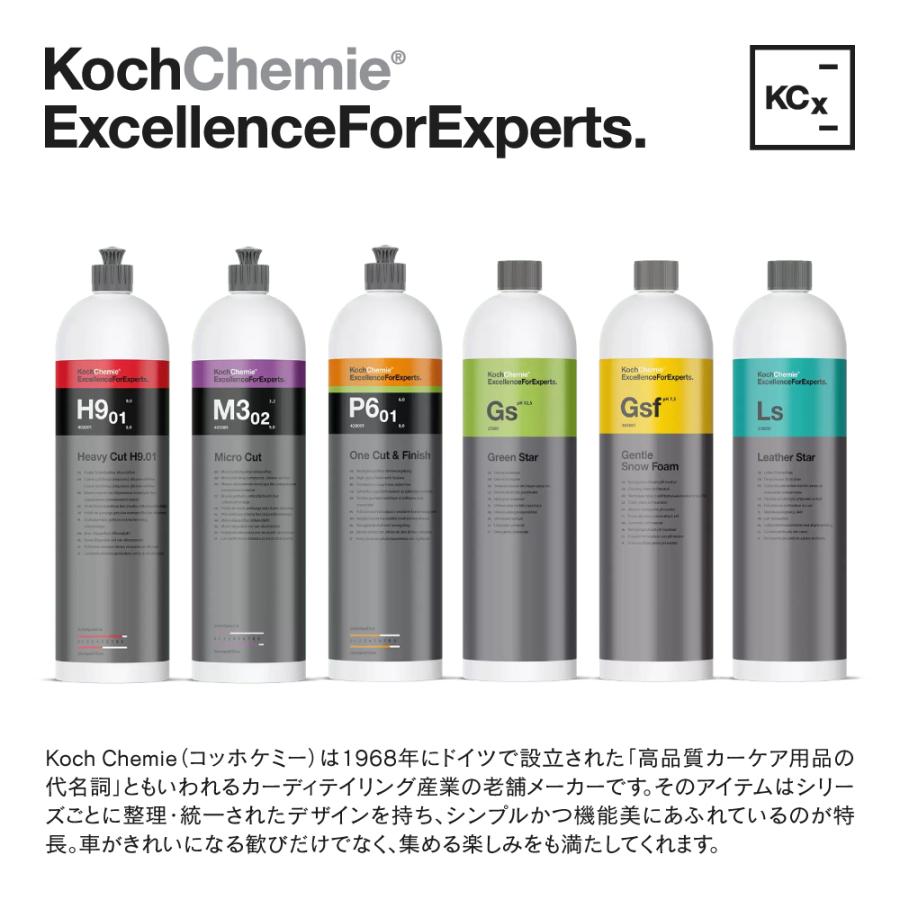 日本正規品 KochChemie コッホケミー コケミ レザースター Ls