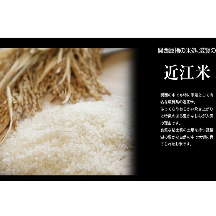 令和7年産 新米 近江米 『秋の詩』 10kg（5kg×2） : 近江亭 - 通販 