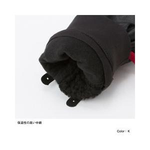 THE NORTH FACE（ザ ノースフェイス） ノースフェイス NN62012 Fakie