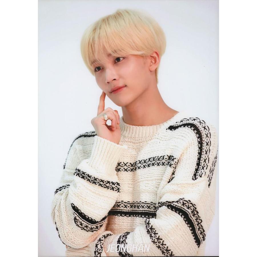 Seventeen ジョンハン グッズ A3 ポスター 12枚 シール ステッカー １枚 セット セブンティーン セブチ Photo Poster Set ３００ｍｍ ４２０ｍｍ Sevenpojh0001 K Pop Gヤフー店 通販 Yahoo ショッピング