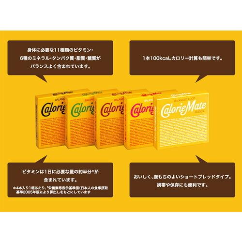 大塚製薬　カロリーメイト　ブロック　チョコ味　4本入り×30箱　（120本）【送料無料】　【沖縄、離島は別途送料120サイズ】｜k-relight｜03