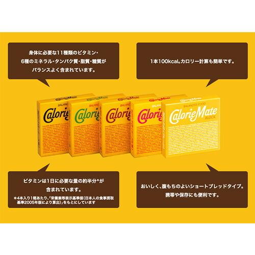 カロリーメイト ブロック 120個 カロリーメイト 大塚製薬 カロリーメイト ブロック フルーツ味 2本入り
