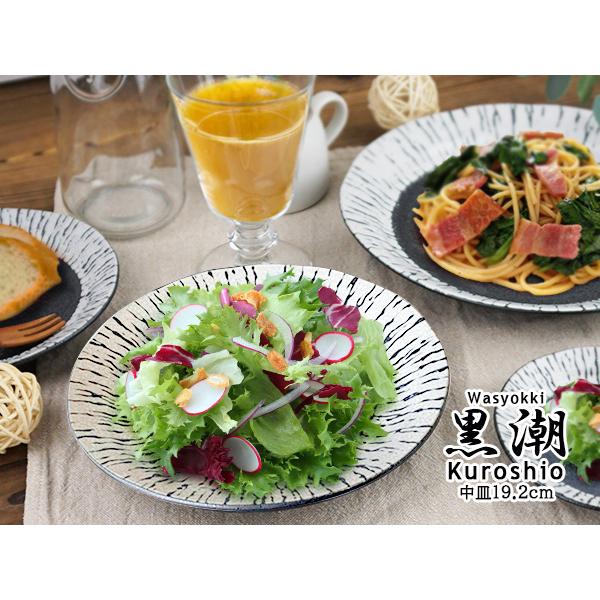 中皿 取り皿 パン皿 19.2cm サラダ皿 食器 おしゃれ 和食器 日本製